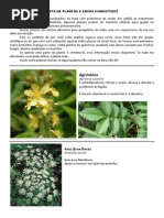 LISTA DE PLANTAS E ERVAS COMESTÍVEIS porquinho