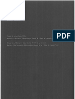 Severi - Paradoxes Du Primitivisme PDF
