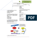 5°_evaluación_uni 1