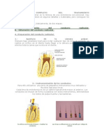 Proceso Completo Del Tratamiento Conductos