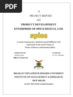 SPICE DIGITAL - Final - Formatted