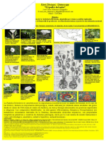 Cartel CIentifica Daturaspp