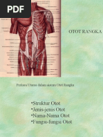 Download Otot Rangka by linoby SN17098484 doc pdf