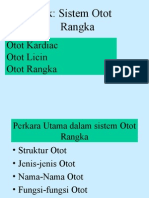 Sistem Otot Rangka (Hamstring)