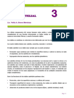 Cap 3_tejido Epitelial Final