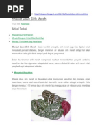 Download Khasiat Daun Sirih Merah by hombar SN171002471 doc pdf