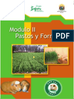 MODULO 2 - Pastos y Forrajes - Para La Crianza de Cuyes
