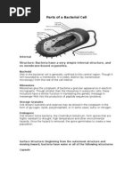 Parts of A Bacterial Cell