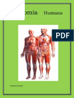 Anatomía Humana