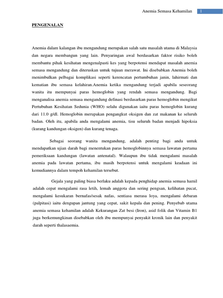 Case study anemia semasa mengandung 02 image