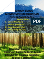 Koburuon Boros Momoomogun Boyungan Dusun Om Kadazan