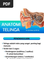 Download ANATOMI TELINGA by Kiky Thamrin SN171097226 doc pdf