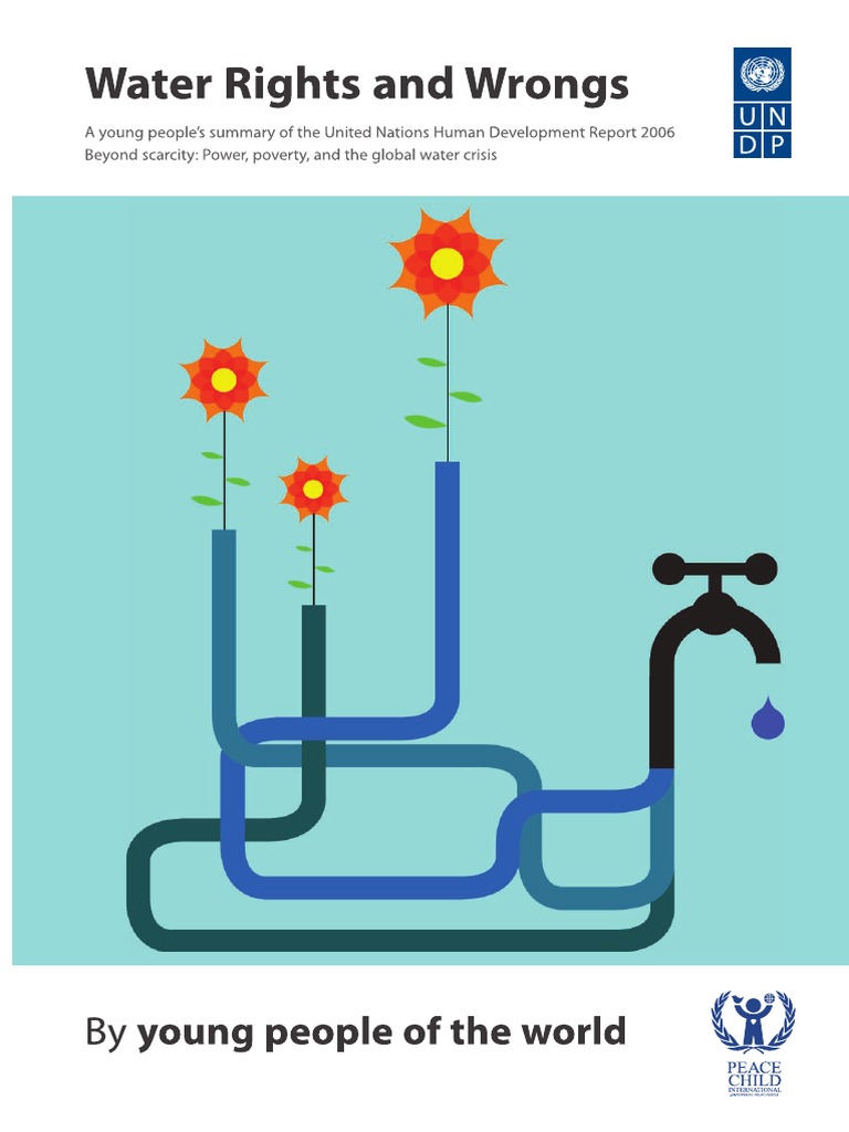 Water Rights and Wrongs English PDF Millennium Development Goals