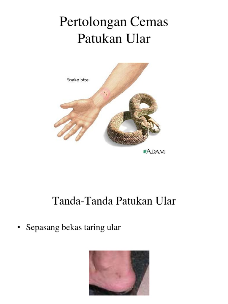 Erotik Android oyinlar