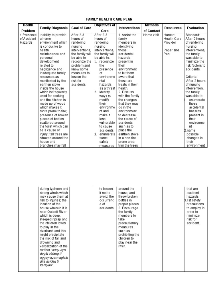 SAMPLE of Family Health Care Plan | Hazards | Diet (Nutrition)