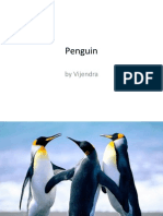Penguin.pptx