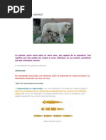 Reprodução dos Animais.docx