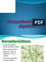 Corynebacterium Diphtheriae