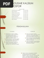 Download Metabolisme Kalsium Dan Fosfor by Dena AfRyanti SN171167087 doc pdf