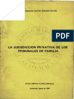 Tribunales de Familia PDF