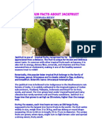 FACTS ABOUT JACKFRUIT