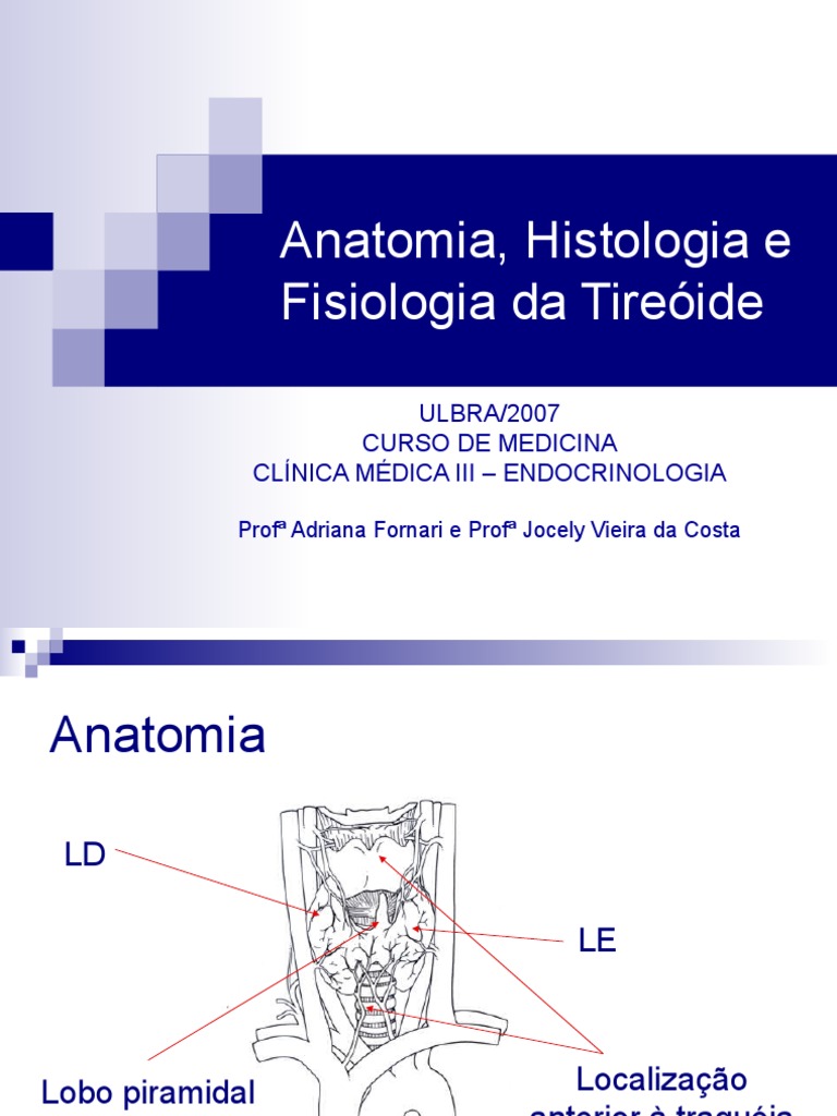 Anatomia e Fisiologia da Tireóide | PDF | Tireoide | Endocrinologia, image size:768x1024