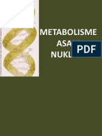 Metabolisme Asam Nukleat