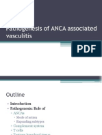 Pathogenesis ANCA Associated Vasculitis - PPTX FINAL