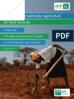 HLPE (2013) - Investing in Smallholder Agriculture For Food Security