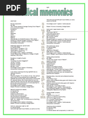 Medical Mnemonics 4 Print Human Leg Common Carotid Artery