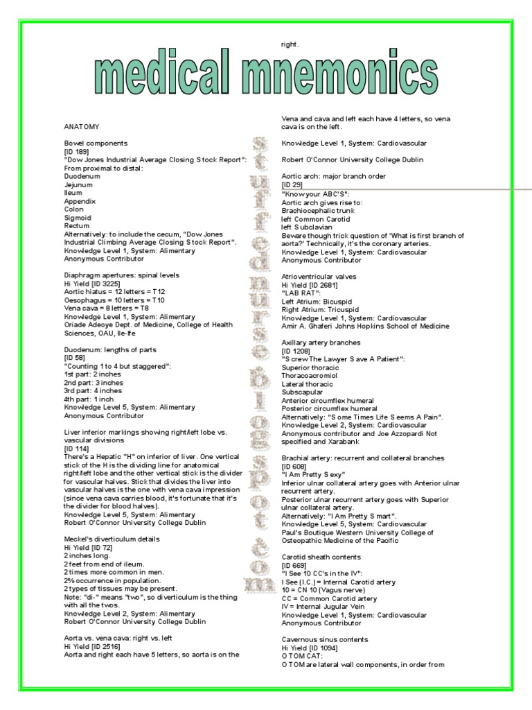 Medical Mnemonics 4 Print, PDF, Human Leg