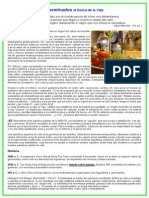 Germinados PDF