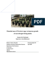 Potential Use of Rhizobium Spp. to Improve Growth