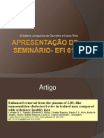 Apresentacao de Seminario- EFI 613