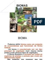 Os+Biomas+Brasileiros