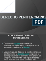 Capellania Derecho Penienciario