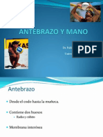 3 Antebrazoymano 111005123426 Phpapp01