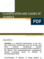 Jaundice Overview