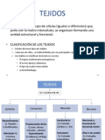02 Tejido Epitelial, Conectivo y Piel 2013