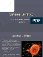 Sistema Linfatico