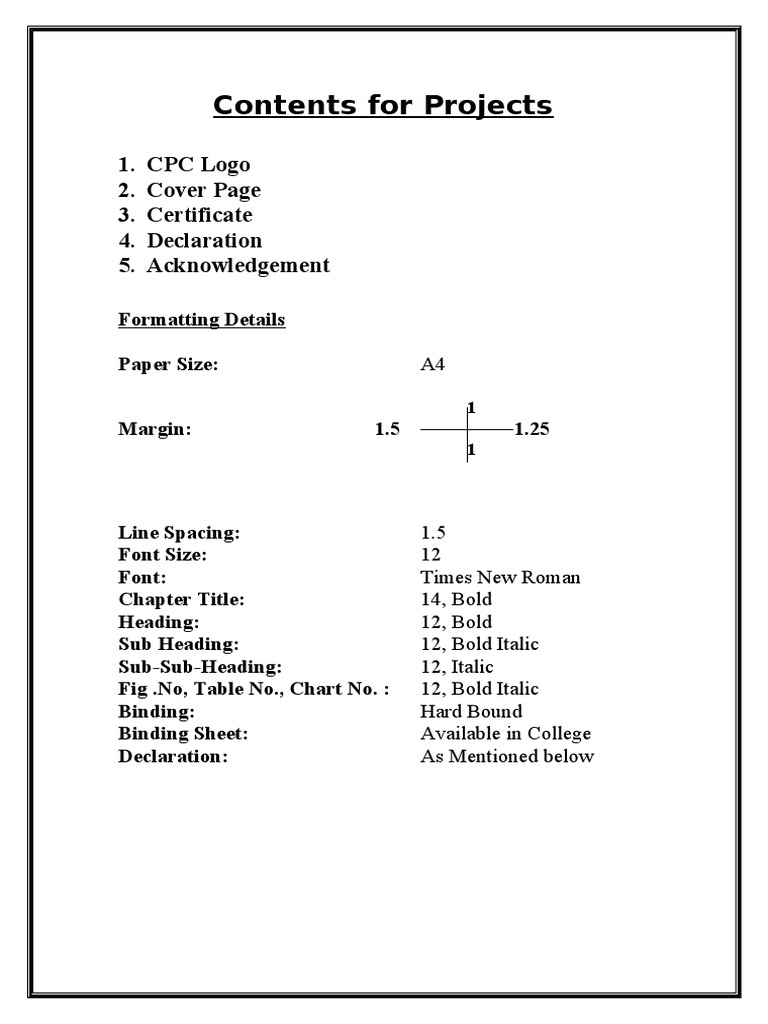 Project Formatting Guidelines | PDF | Business | Computers