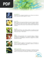 Alfarma Floral Germain