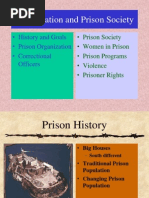 Incarceration and Prison Society