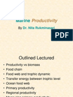 Marine Productivity - MEST 2013