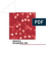 Japanese Encephalitis