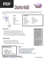 ScP024 Cells Research