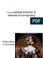 Antropologia Simturilor Si Reflexele Ei Iconografice