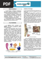 MATERIAL 20130225150235TeoriaPoriferoCnidario