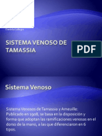 Sistema Venosos de Tamassia: Tipos de Ramificaciones Venosas