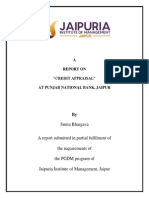 A Report On "Credit Appraisal" at Punjab National Bank, Jaipur